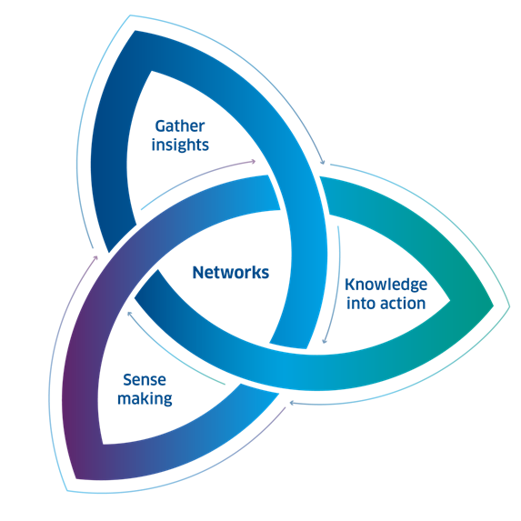 A circular diagram of three interlocking, curved segments forming a continuous loop. The segments are labelled ‘Gather insights’, ‘Sense making’, and ‘Knowledge into action’, with ‘Networks’ shown in the centre where the shapes overlap.