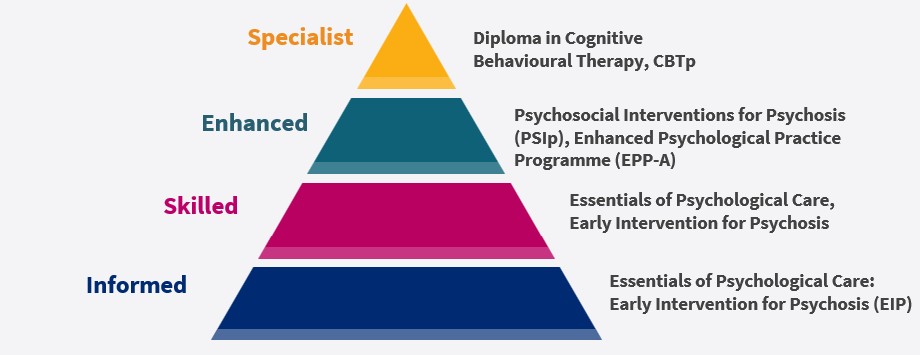 A diagram showing the same text as above, shown in a pyramid with specialist at the top, then enhanced, then skilled, then informed at the bottom.